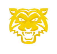Farnham Tigers Surrey ACF
